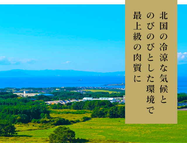 北国の冷涼な気候とのびのびとした環境で最上級の肉質に